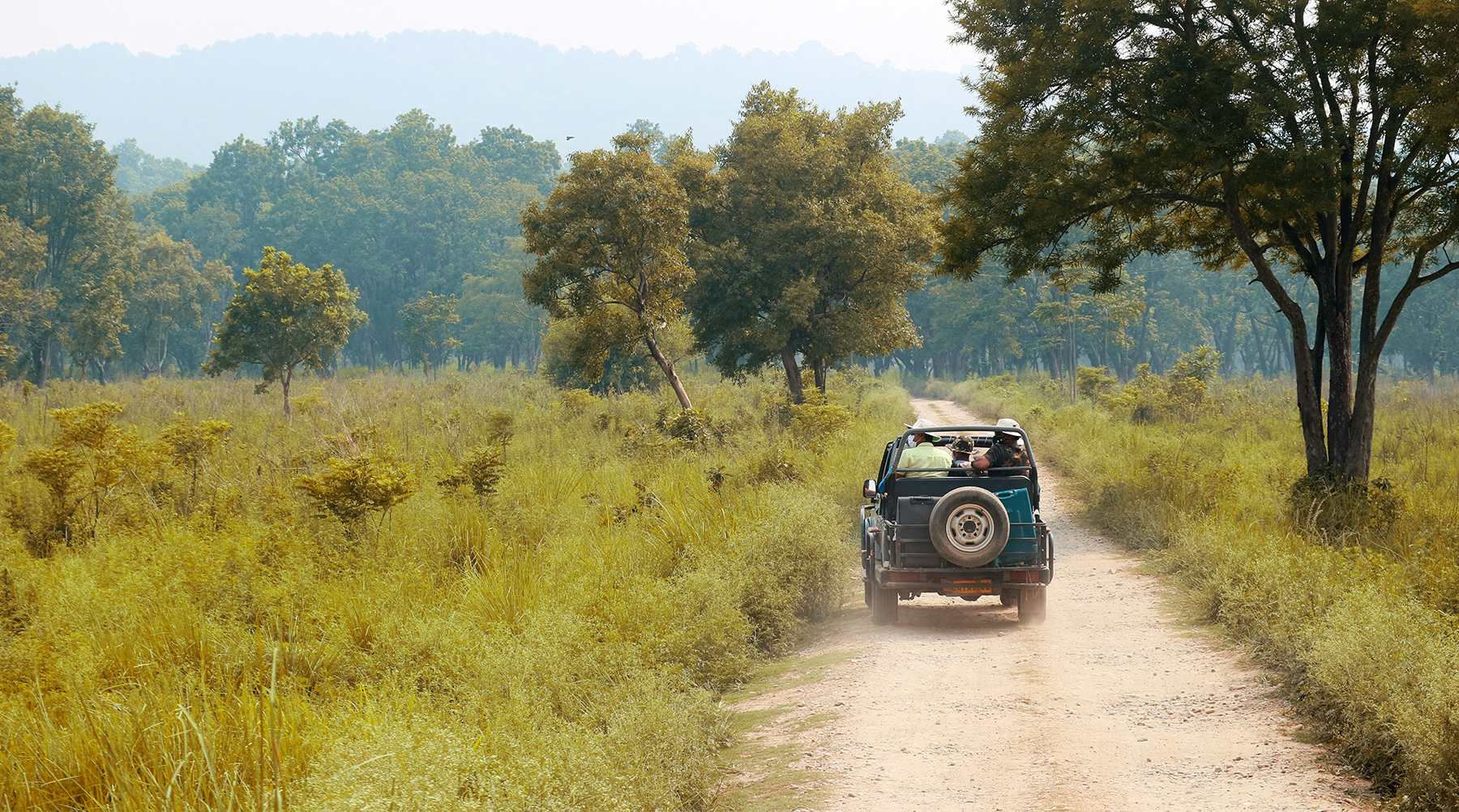 Ranthambore Safari Experience